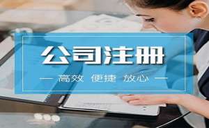 在开个内资公司需要多少钱
