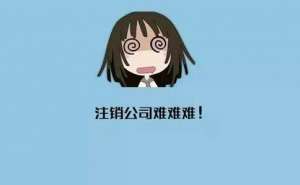 芜湖注销公司有哪些步骤需要注意