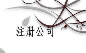 芜湖公司注册没有核定税种会异常吗
